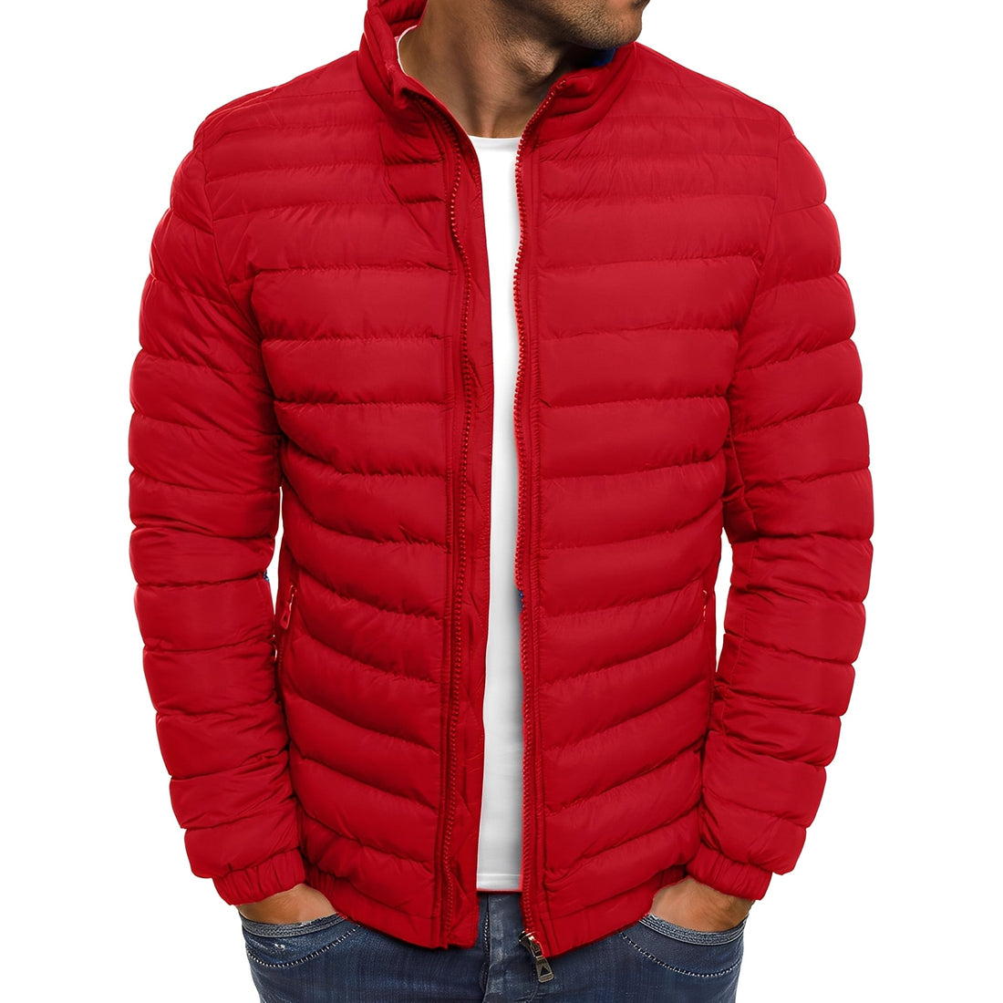 Bernard - Casual, quente jaqueta de penas para homens